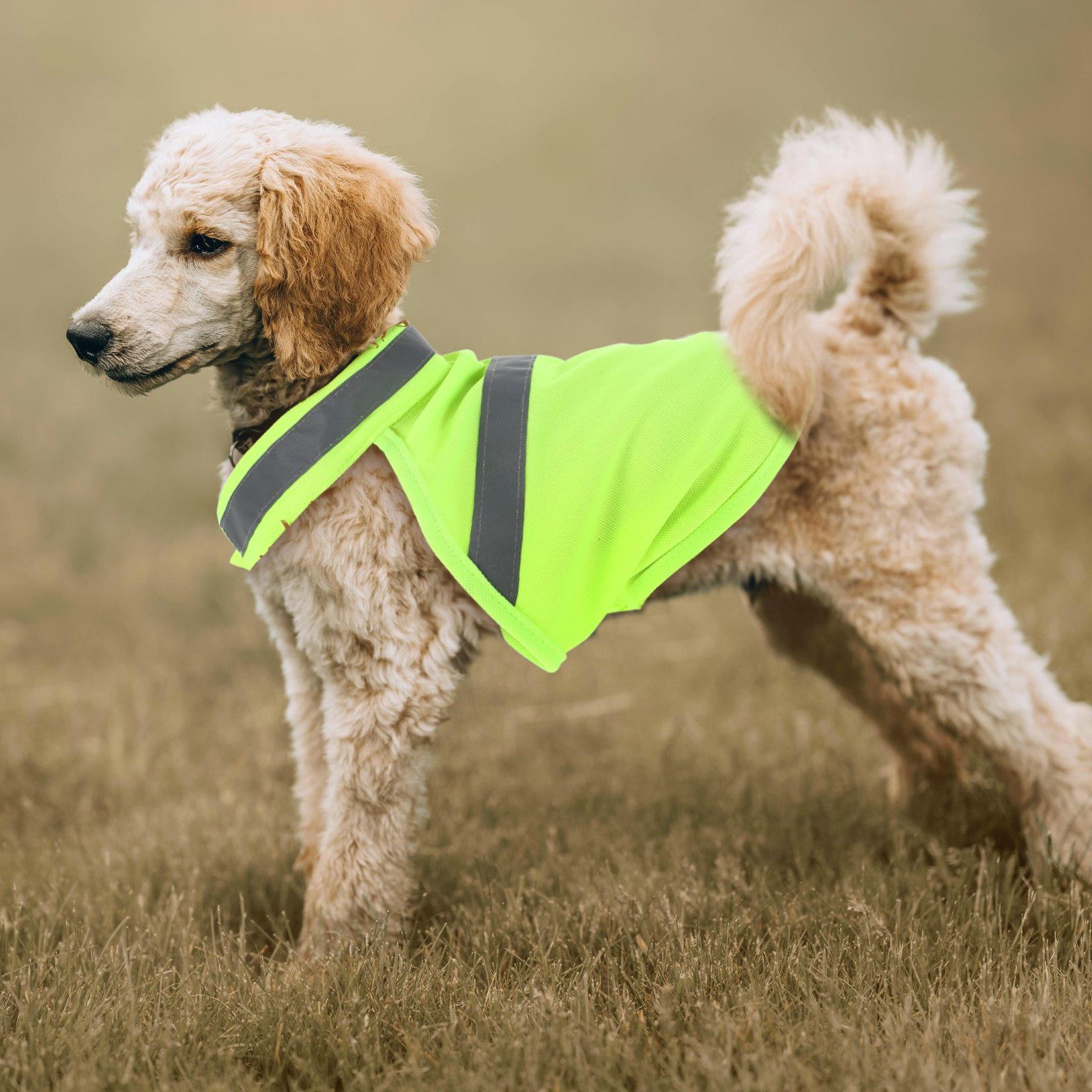 Dog Reflective Security Vest F - огляд і ціна Hunting Dog Outdoor